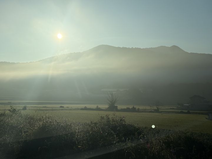 Sun through the valley fog