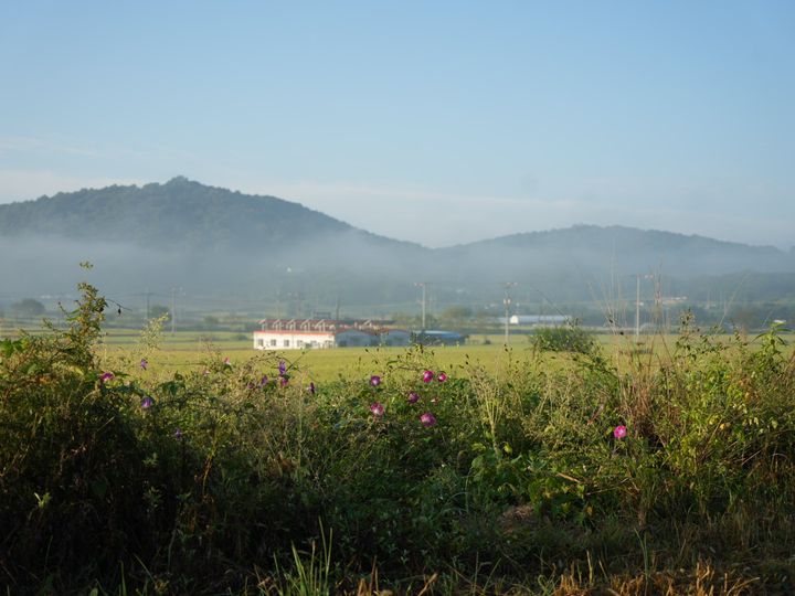 Fields under the hills
