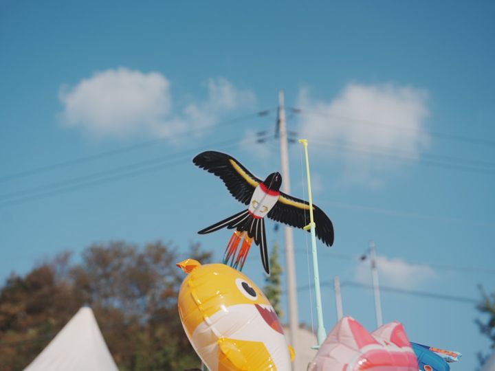 Kite over the festival